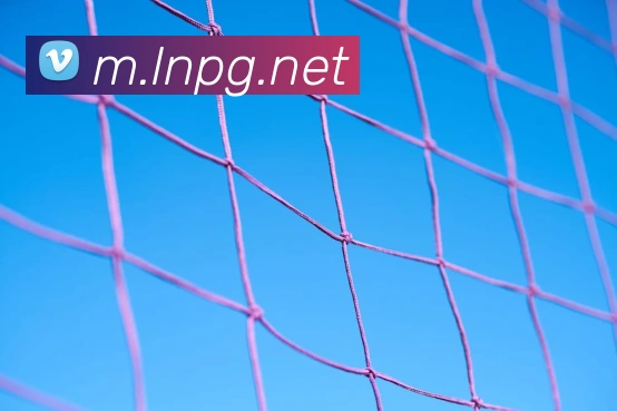 pg电子APP 体育赛事宣传图